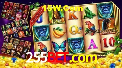 Integração de APIs 255bet.com